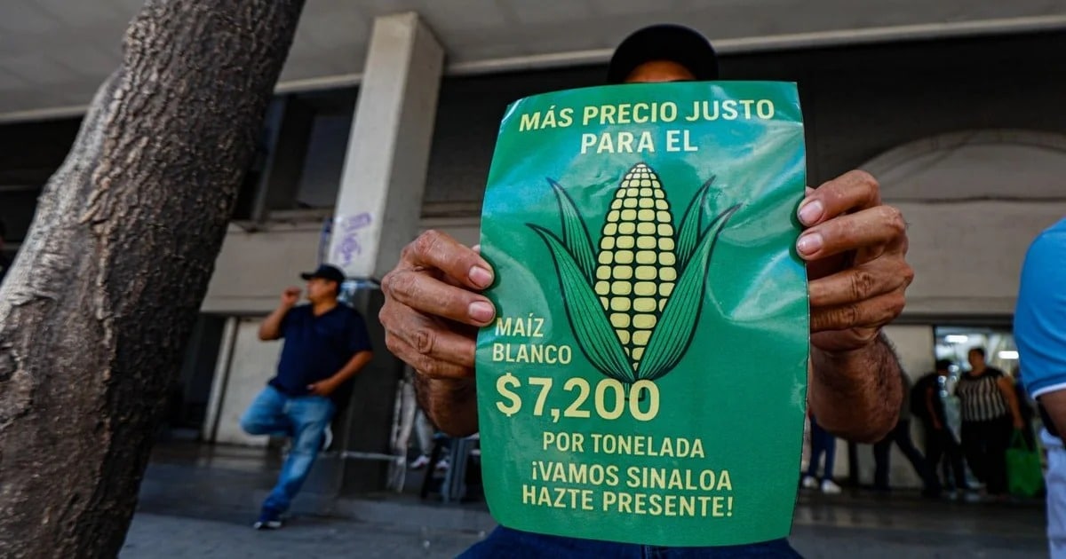 Gobierno federal prepara apoyo integral para agricultores ante caída de precios