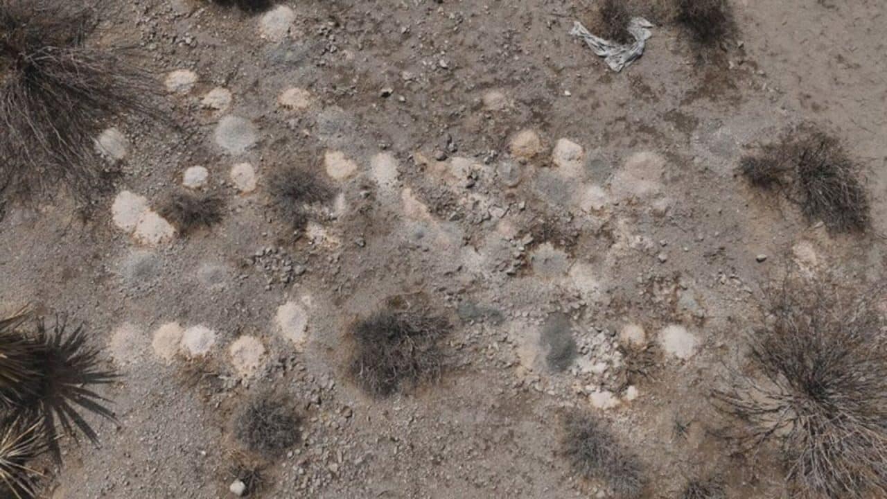 Hallazgo macabro en Las Vegas: más de 300 restos humanos apilados