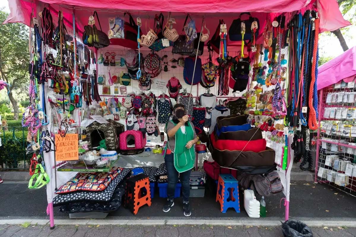 Industria de mascotas en México: auge, negocio y nuevas oportunidades