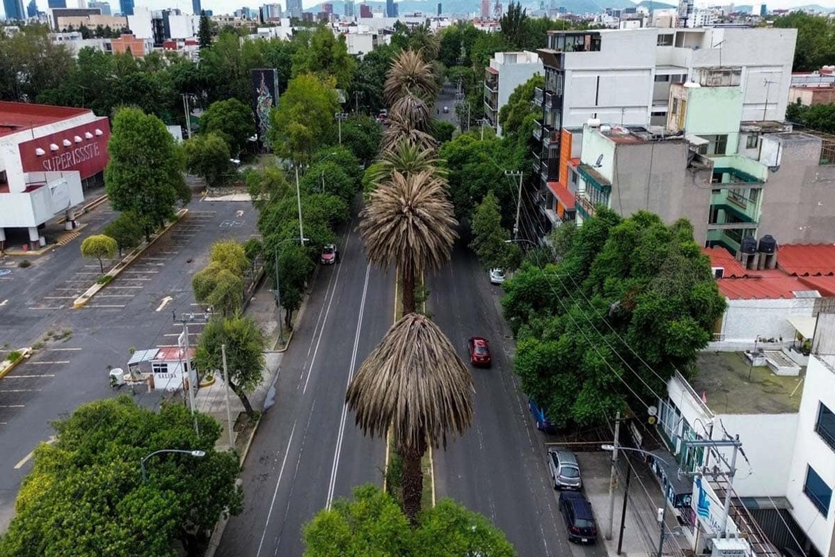 Iniciativa Soy Naturaleza protege bosques y comunidades ante desastres