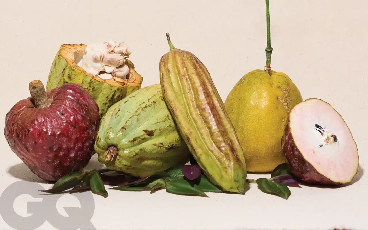 Las frutas de México poco conocidas (o que no sabías que existen) Las frutas de México poco conocidas (o que no sabías que existen)
