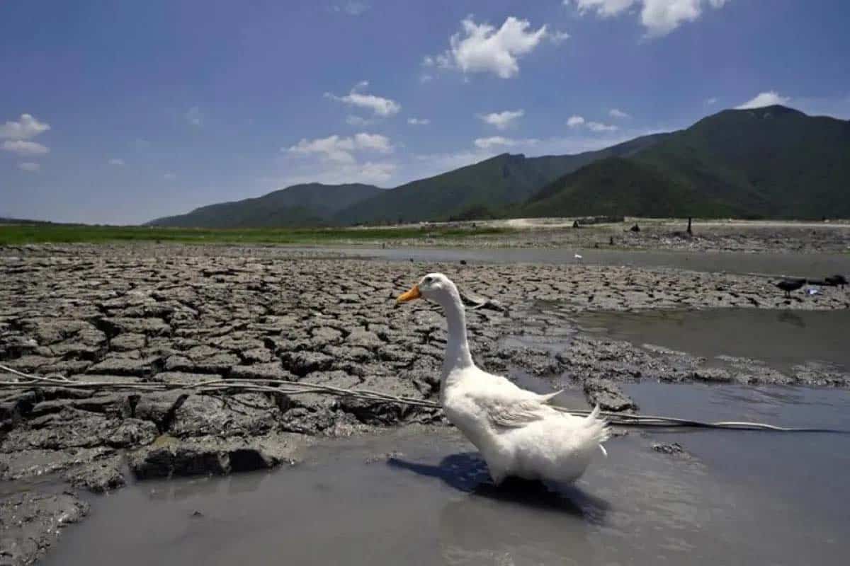 México enfrenta crisis climática con impactos sociales y costos millonarios