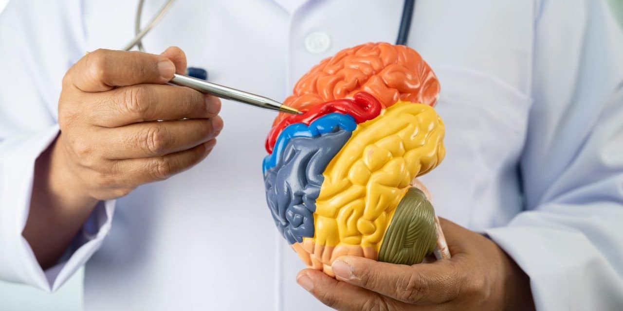 Mutación genética en población china aumenta riesgo de alzhéimer