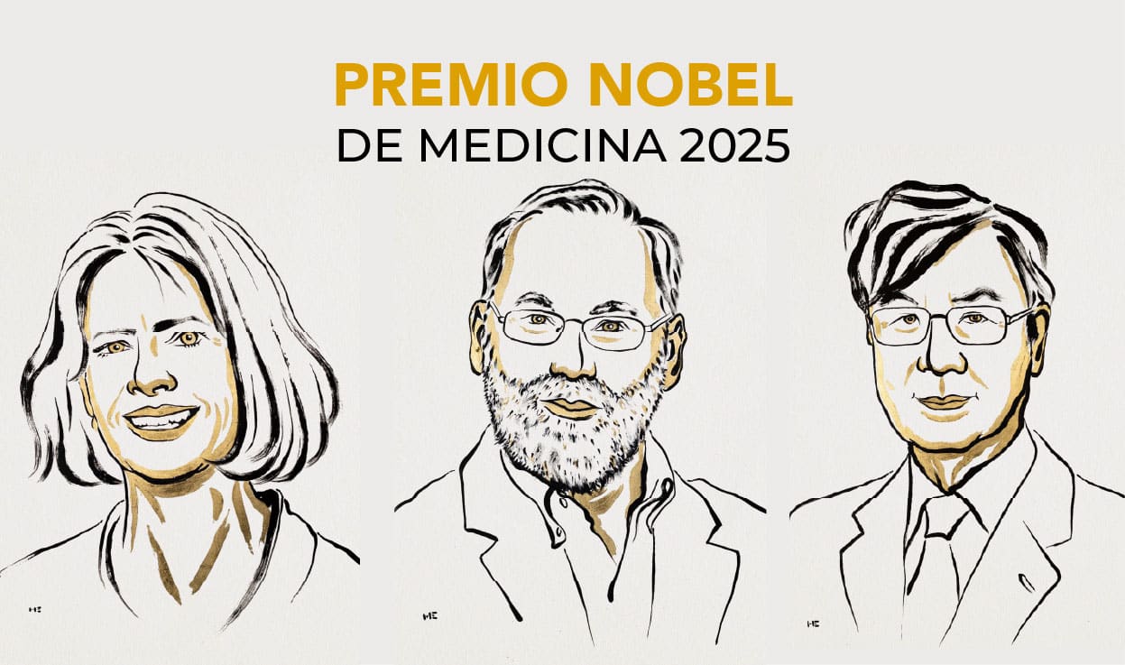 Nobel de Medicina 2025 premia a científicos por controlar el sistema inmunitario