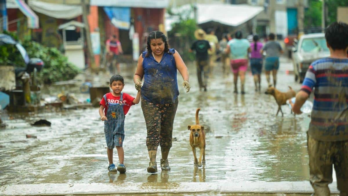 Operadores de Telefonía Móvil Habilitan Servicio Gratuito por Fuertes Lluvias en México Operadores de Telefonía Móvil Habilitan Servicio Gratuito por Fuertes Lluvias en México