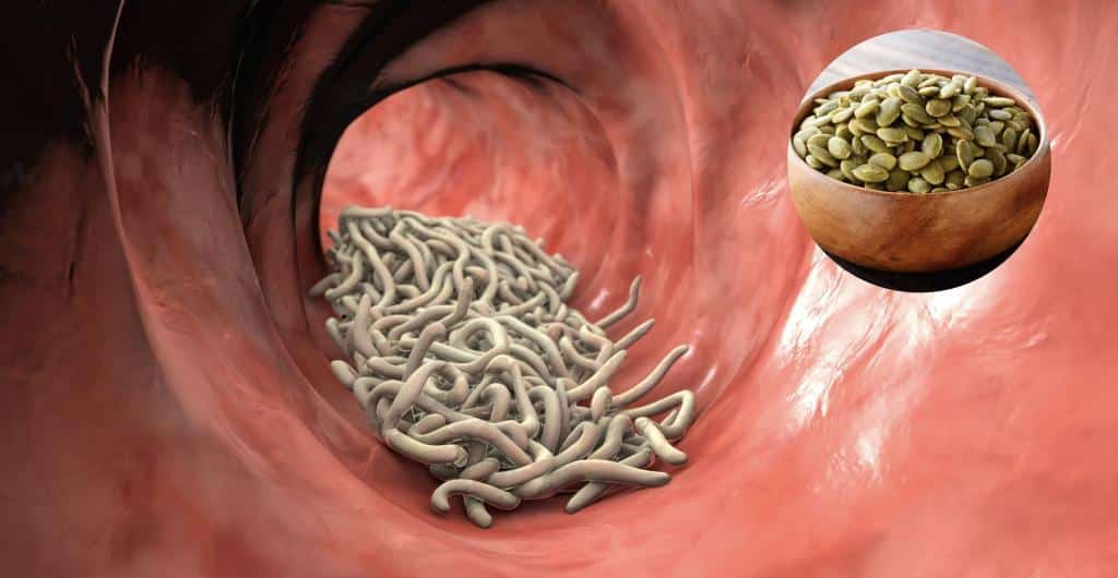 Parásitos intestinales: los más comunes y cómo prevenirlos
