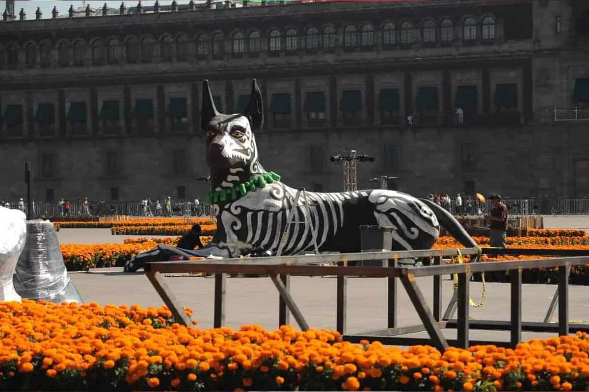 Perros y altares: la historia ancestral que une vida, muerte y memoria en México
