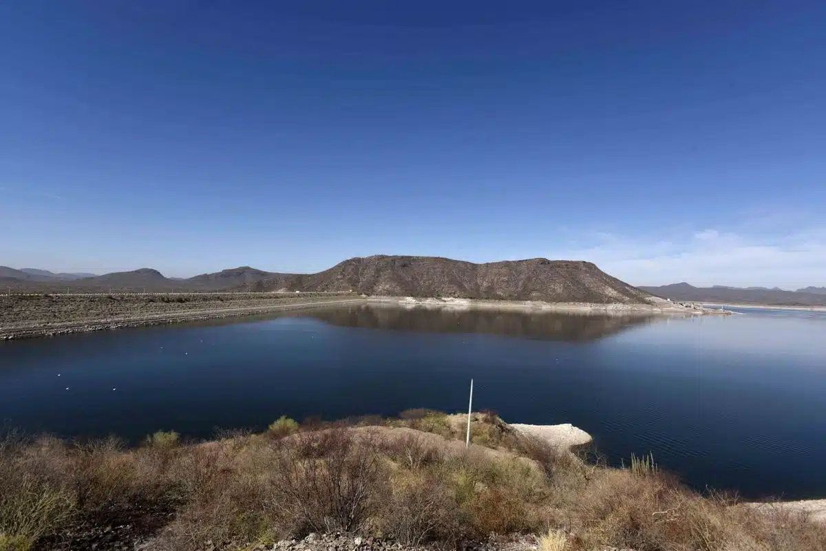 Prevén aumento de siembras en los valles del Yaqui y del Mayo tras recuperación de presas