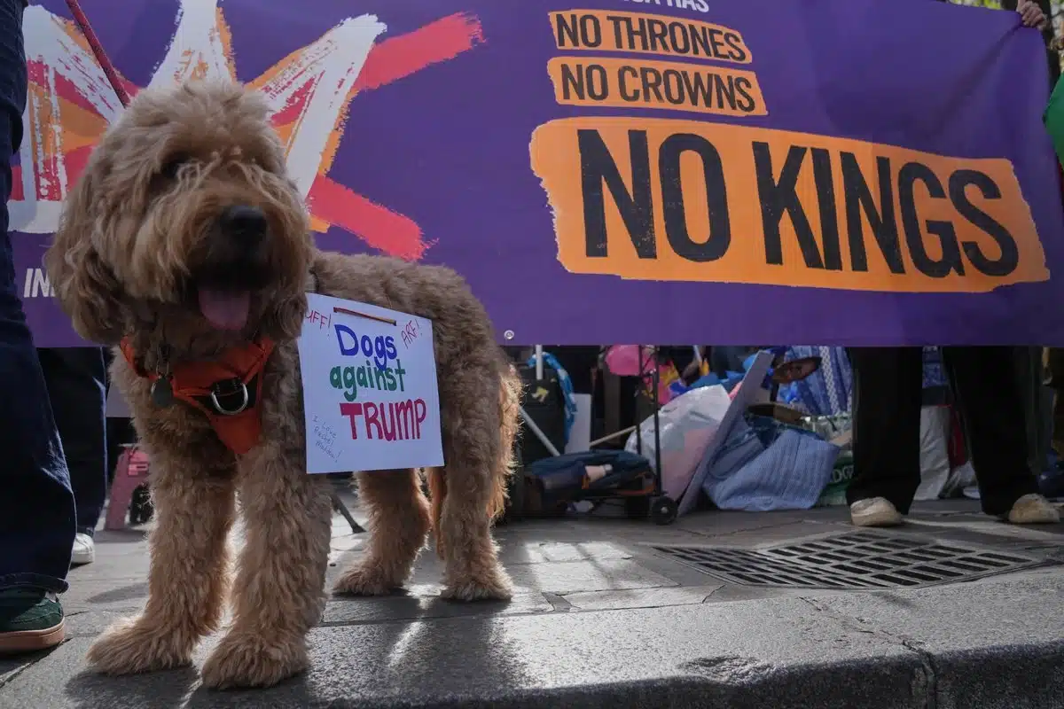 Republicanos califican protestas de “No a los reyes” contra Trump como actos de “odio a Estados Unidos”