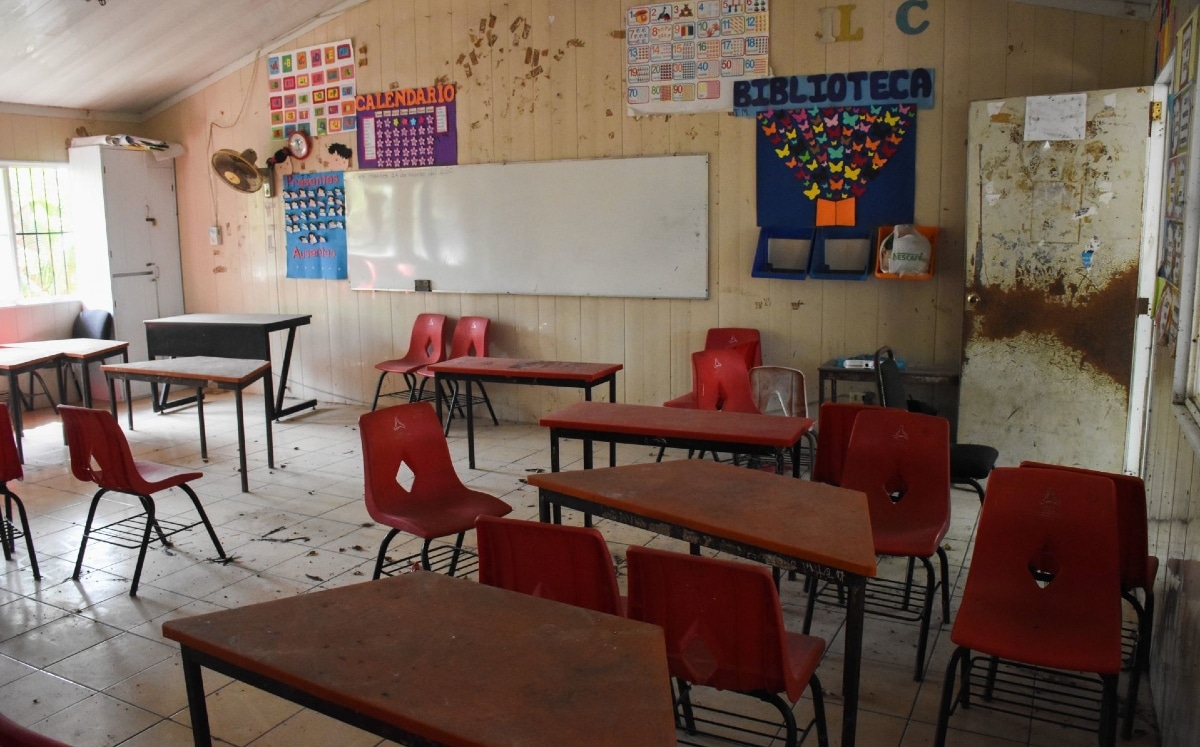 SEP pide reconocer a infancias y adolescencias trans y no binarias en escuelas