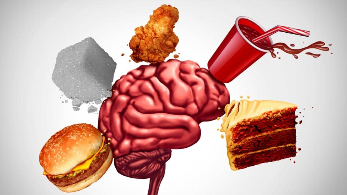 Ultraprocesados “secuestran” tu cerebro y generan hambre sin control
