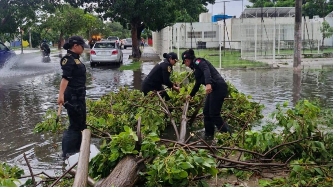 Inundaciones, daños y pérdidas: lluvias golpean la península
