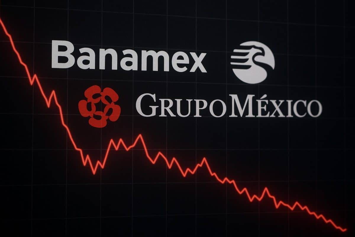 Oferta de Banamex desploma acciones de Grupo México en la BMV