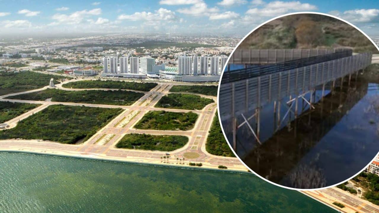 Construirán puentes y circuitos sobre humedales del Malecón Tajamar en Cancún
