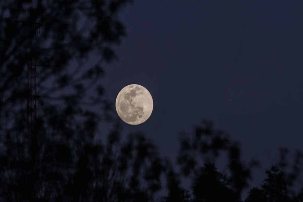 Calendario astronómico revela eventos cósmicos de diciembre Calendario astronómico revela eventos cósmicos de diciembre