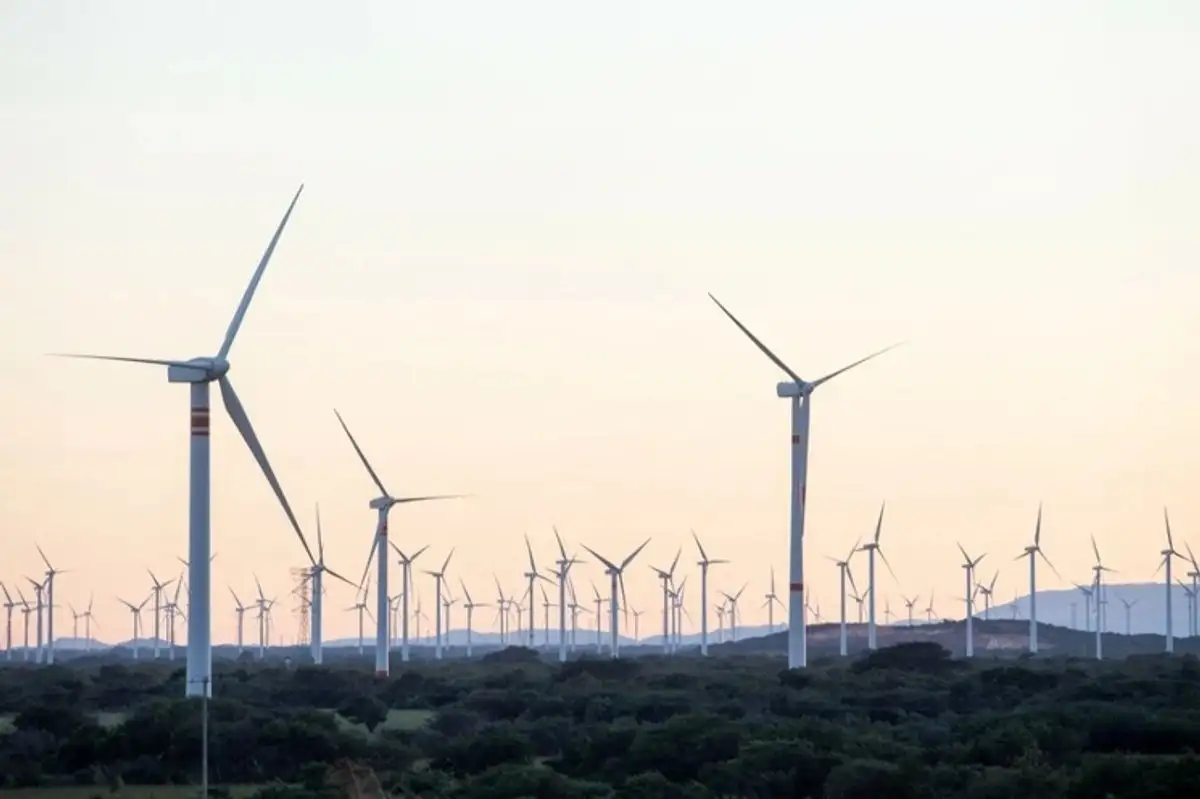 China y América Latina_ Una alianza verde contra el cambio climático China y América Latina: Una alianza verde contra el cambio climático