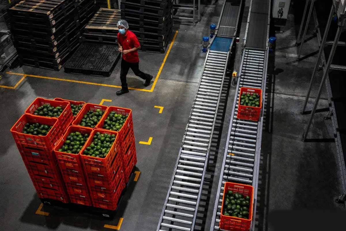 EEUU impulsa su mayor misión agrícola en México y refuerza agenda bilateral EEUU impulsa su mayor misión agrícola en México y refuerza agenda bilateral