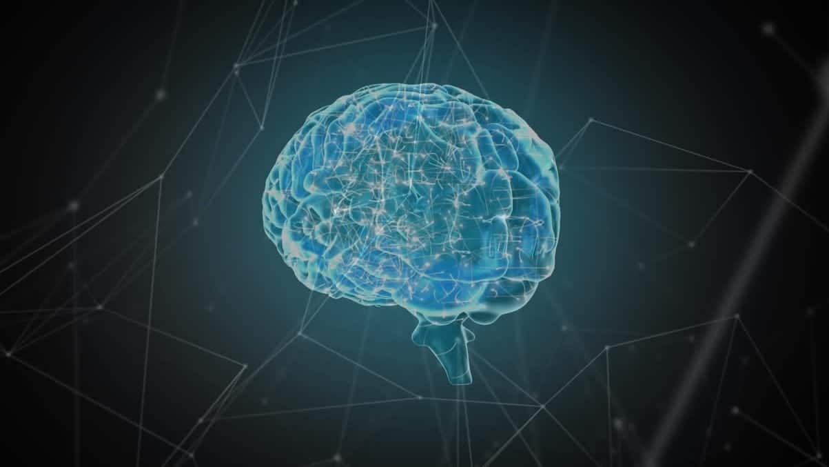 El cerebro puede crecer con la edad: la ciencia rompe un viejo mito