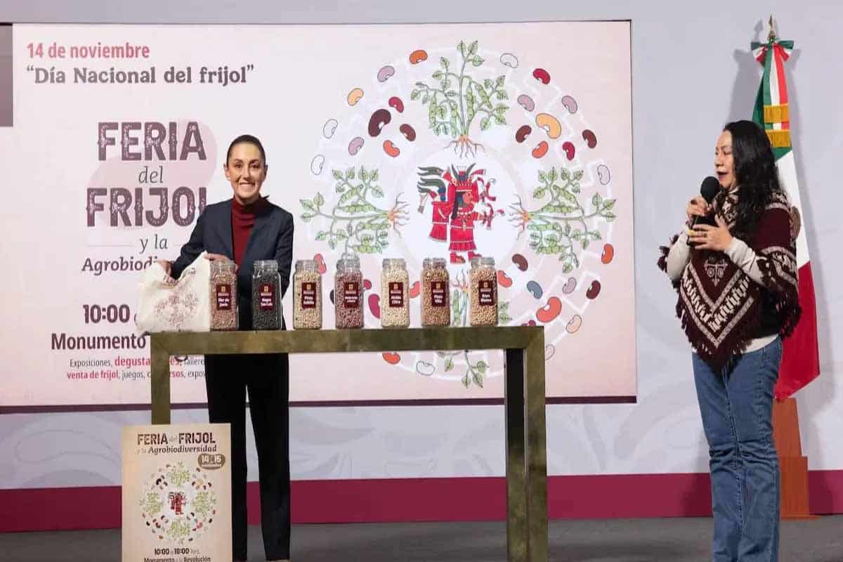 Frijol del Bienestar el plan de Sheinbaum que impulsa a productores y baja el precio nacional Frijol del Bienestar: el plan de Sheinbaum que impulsa a productores y baja el precio nacional
