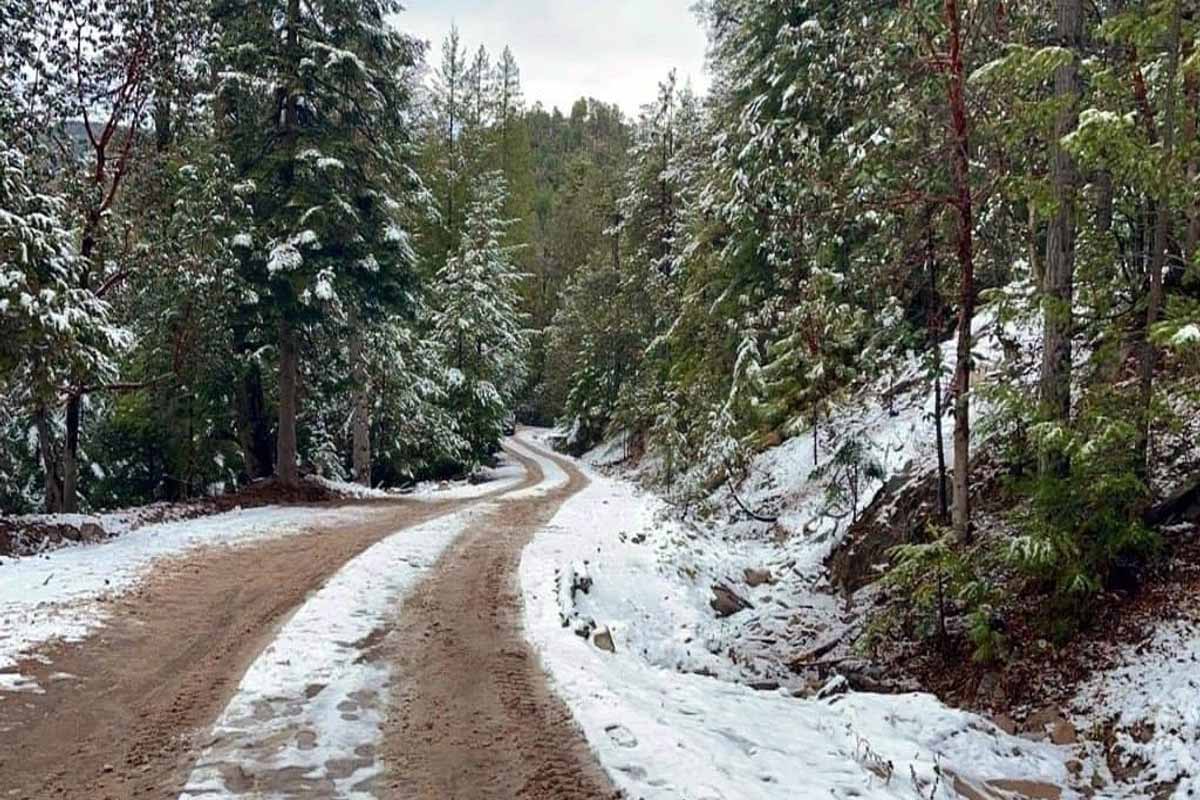 Frío extremo en Durango: La Rosilla registra -7 grados bajo cero