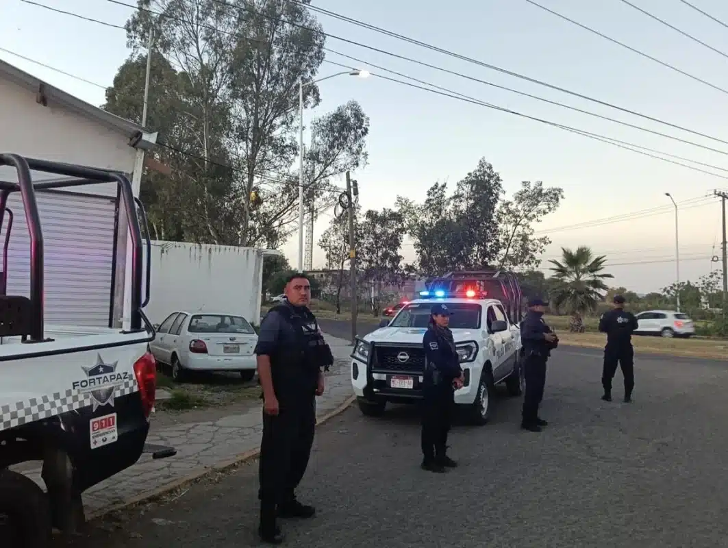 Iglesia llama a combatir grupos armados responsables de asesinatos en México