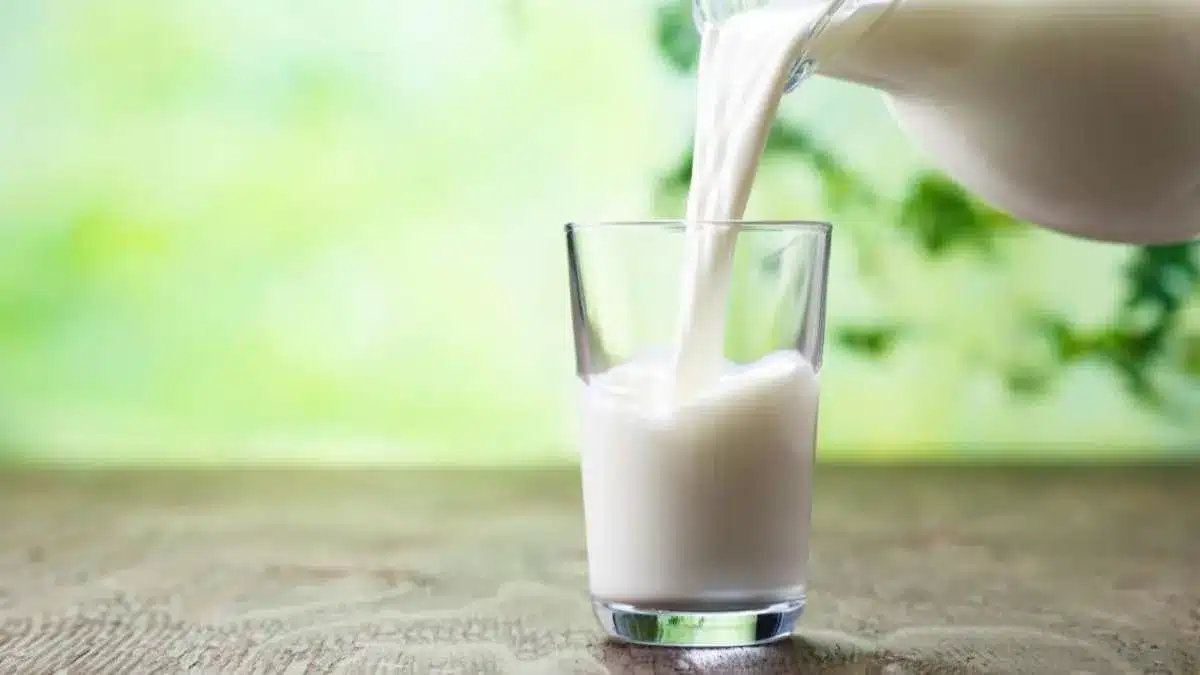 Tipos de leche: el debate nutricional que divide a expertos y consumidores