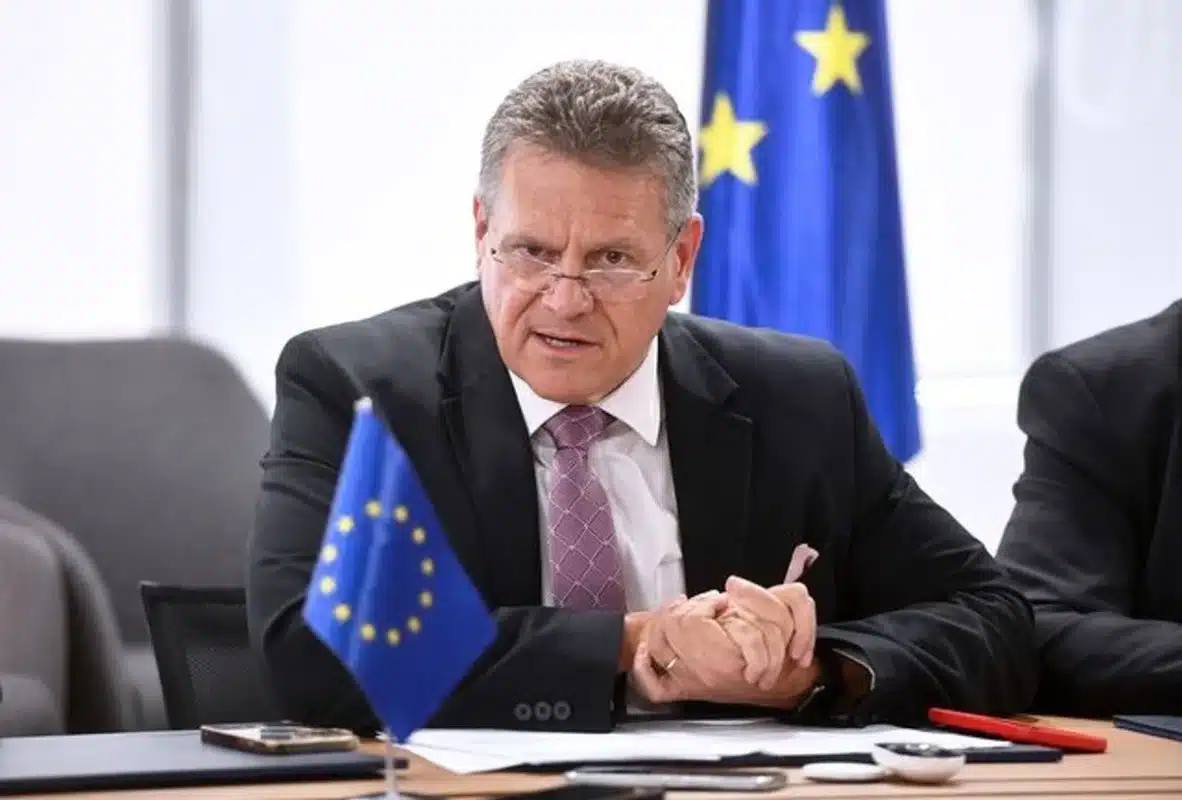 Unión Europea abre canal especial con China para asegurar el flujo de tierras raras