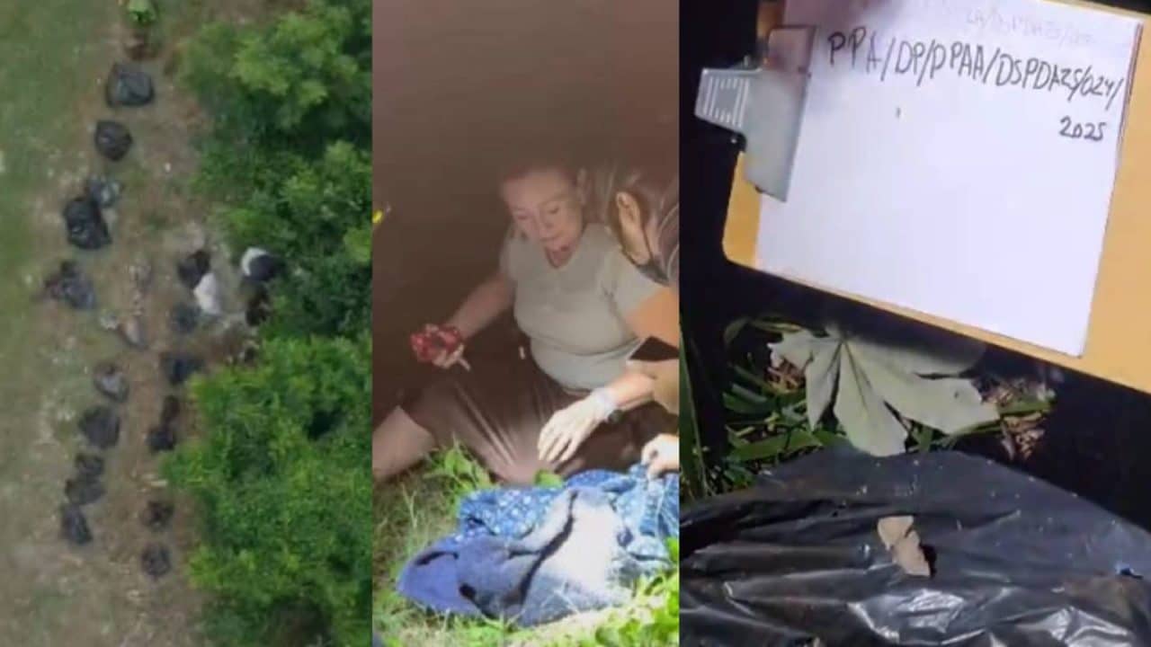 Gobierno crea catálogo con restos de mascotas rescatadas del caso Xibalbá Gobierno crea catálogo con restos de mascotas rescatadas del caso Xibalbá