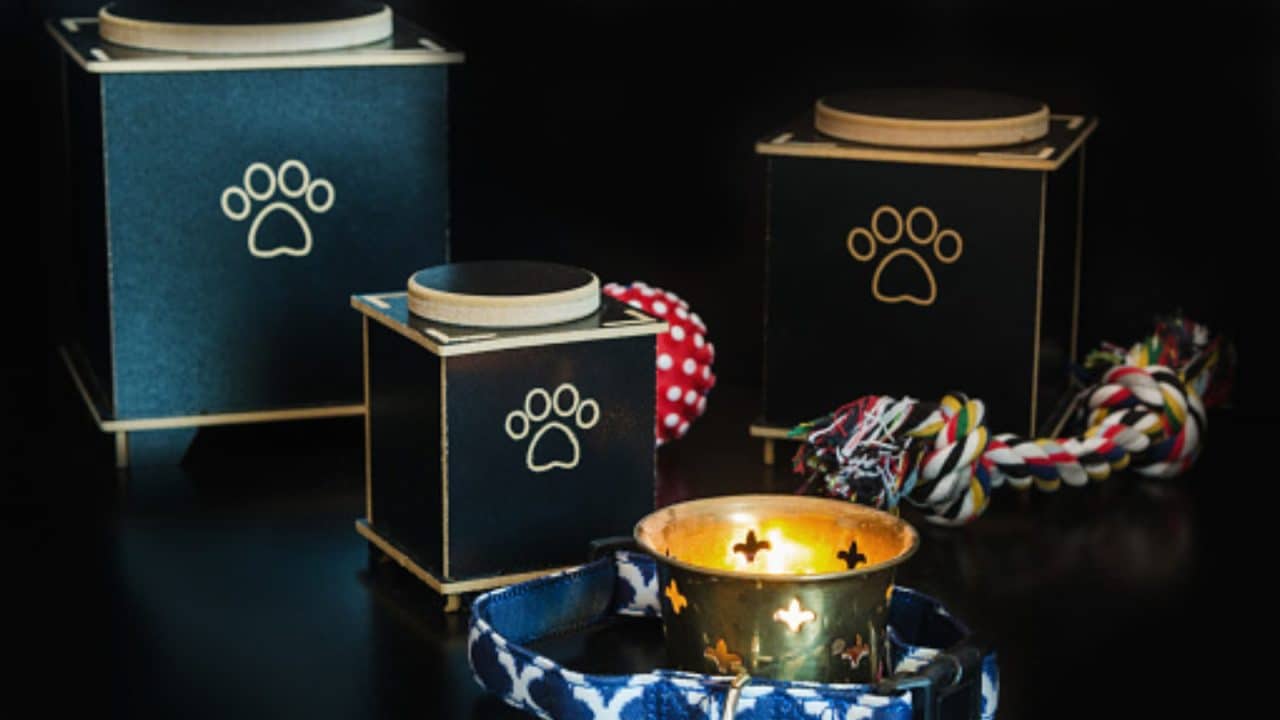 Proponen sanciones más severas y regulación de crematorios en Quintana Roo