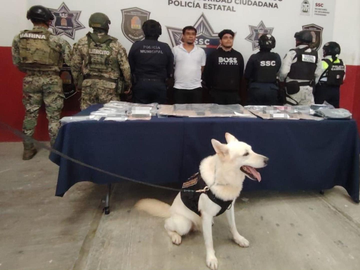 Viajaban armados y cargados de droga; los capturan en la carretera Chetumal-Bacalar