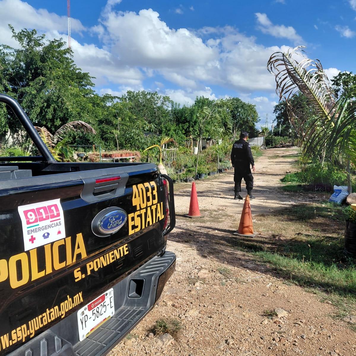 Refuerzan búsqueda de adulta mayor desaparecida en Mérida