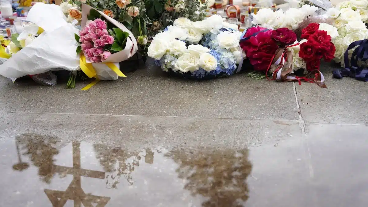 Australia endurece leyes de armas tras atentado terrorista en Bondi Australia endurece leyes de armas tras atentado terrorista en Bondi