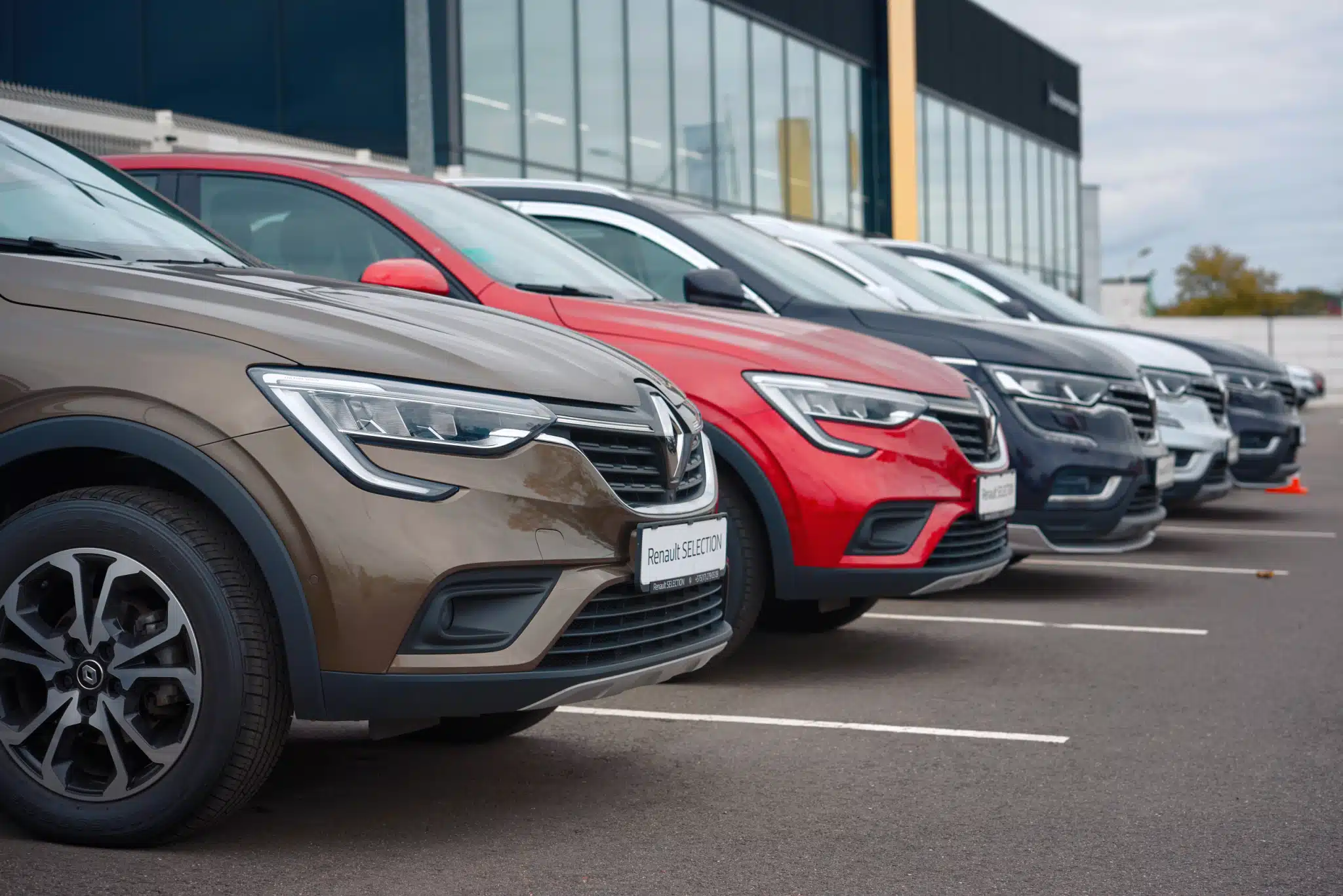 Color auto personas inteligentes- La IA revela las preferencias de las mentes brillantes Color auto personas inteligentes- La IA revela las preferencias de las mentes brillantes