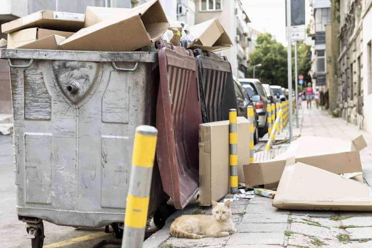 Compras en línea: alerta por impacto ambiental, datos que pocos conocen