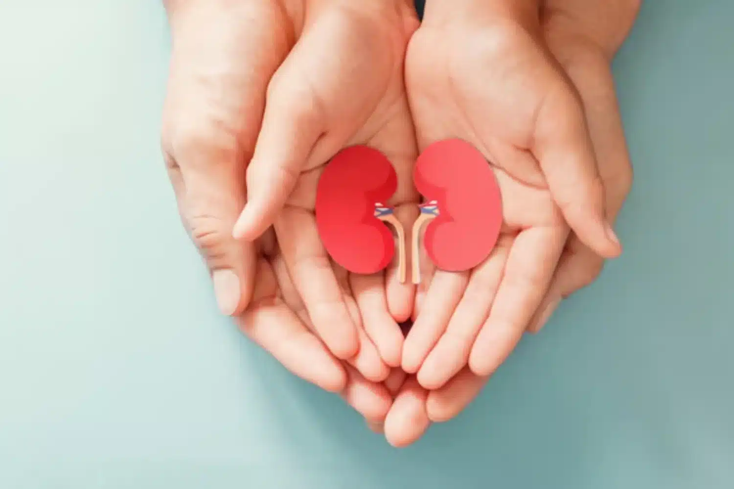 Importancia del cuidado de los riñones para una vida saludable