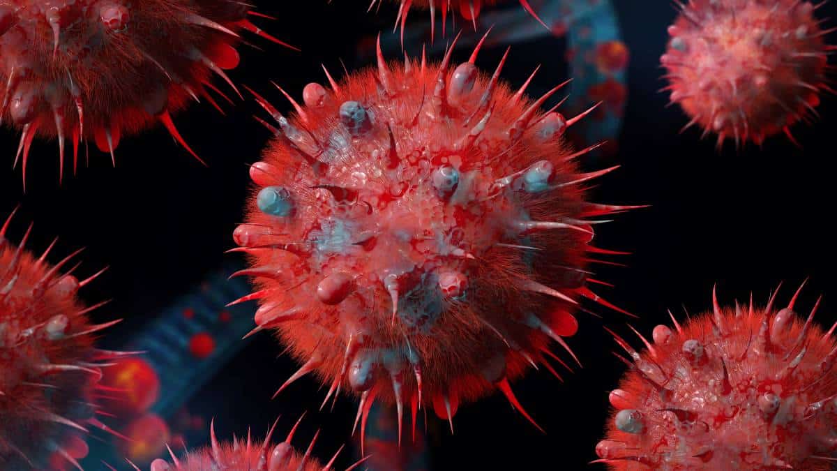 Influenza H3N2- alto riesgo de complicaciones graves Influenza H3N2: alto riesgo de complicaciones graves