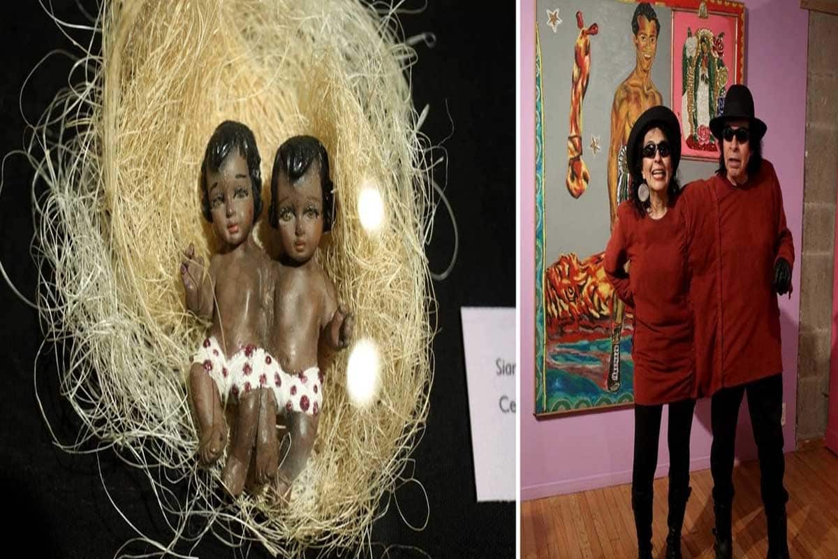 Siameses Company rompe récords con una exposición imperdible