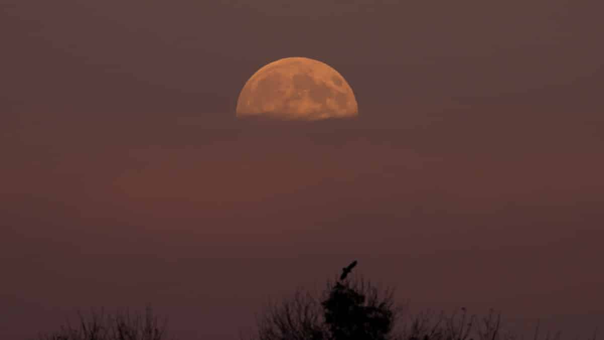 Superluna Fría: fecha y horario para verla en México en 2025