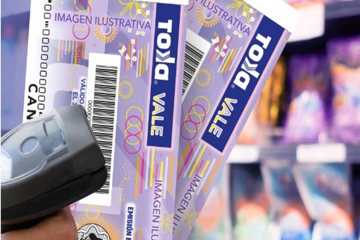 Vales de despensa en revisión por licitación federal millonaria