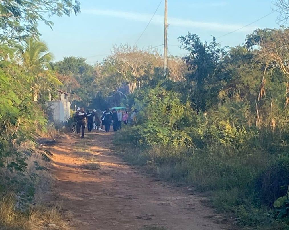 Muere abuelito por ataque de abejas en Yucatán