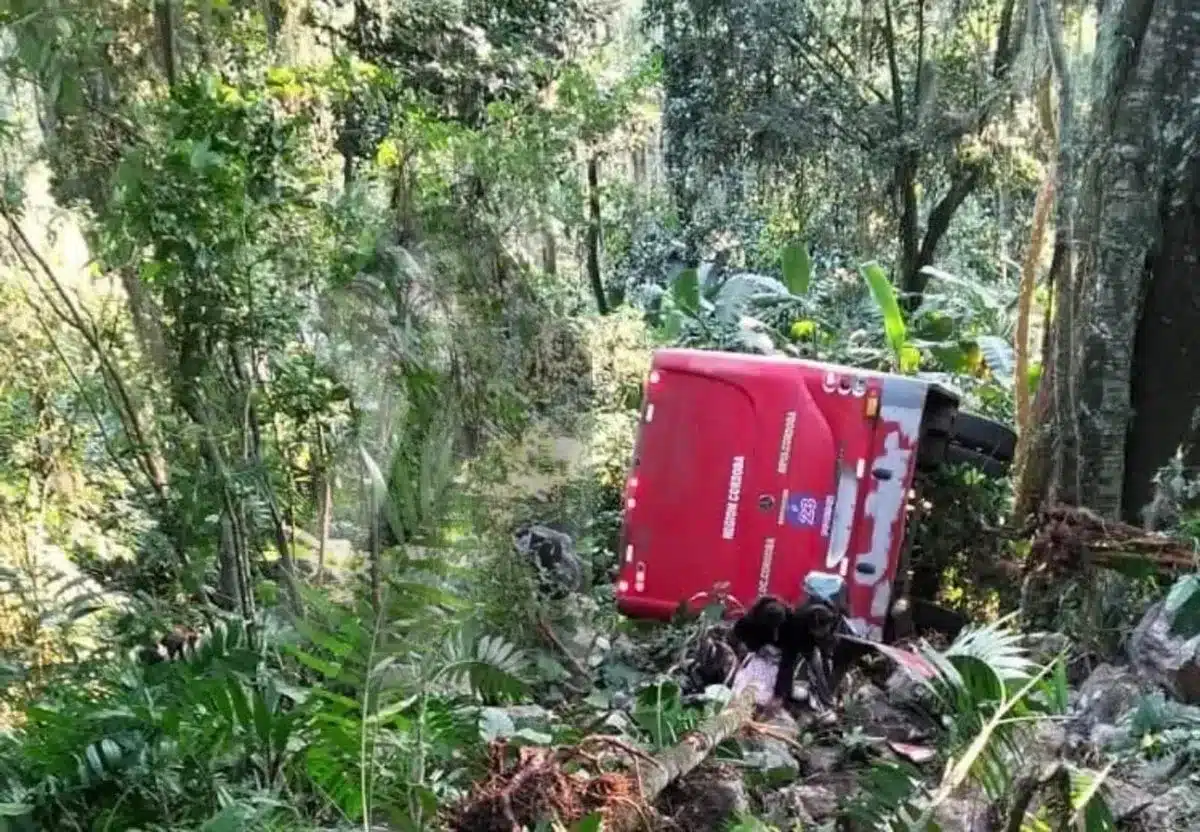 Accidente de autobús en Veracruz revive alertas por seguridad vial