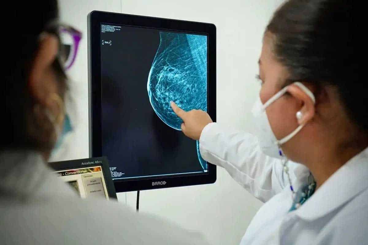 Células cancerosas: hallazgo disruptivo que cambia terapias