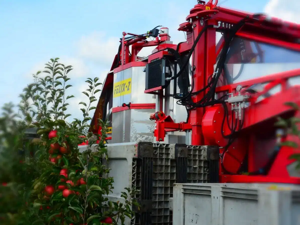 Cosecha automatizada: la máquina que reemplaza humanos en Europa