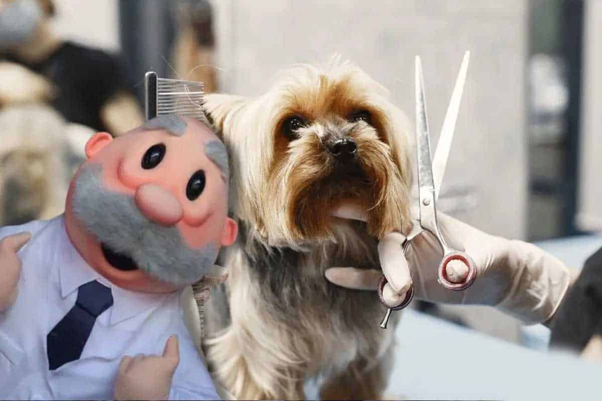 Dr. Simi lanza SimiPet Care y revoluciona estética para mascotas