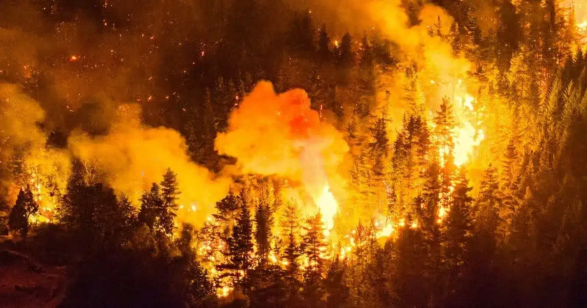 Incendios en Patagonia arrasan bosques y obligan a evacuar turistas