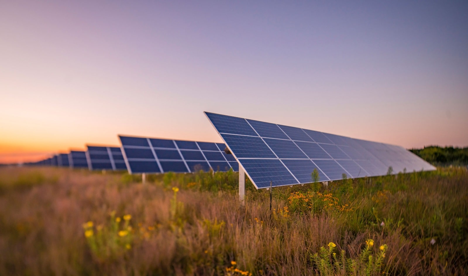 Semarnat evalúa parque solar en Othón P. Blanco; tendría 219 mil paneles