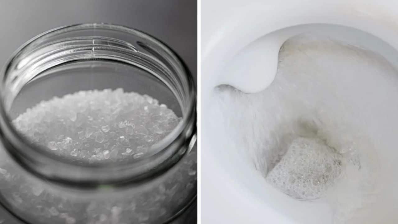 Sal gruesa: por qué mejora la limpieza del inodoro Sal gruesa: por qué mejora la limpieza del inodoro