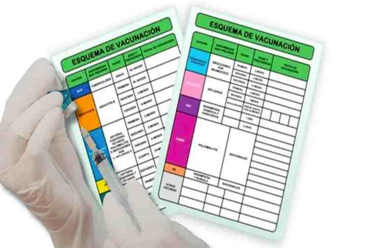Cartilla de vacunación: requisitos y reposición en IMSS
