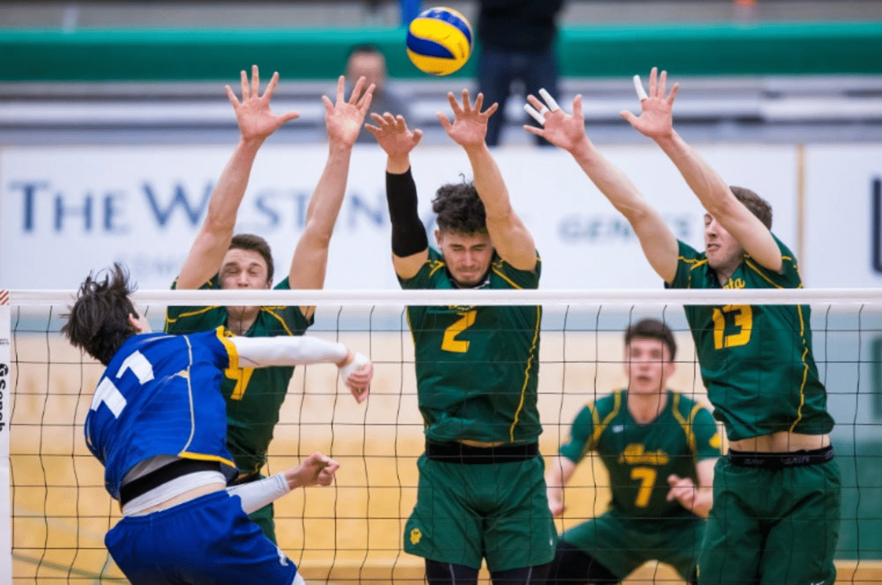 La química del equipo impulsa el éxito en las ligas de voleibol La química del equipo impulsa el éxito en las ligas de voleibol