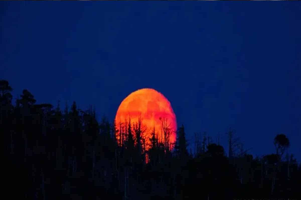 Luna de Sangre 2026 iluminará el 3 de marzo a México Luna de Sangre 2026 iluminará el 3 de marzo a México